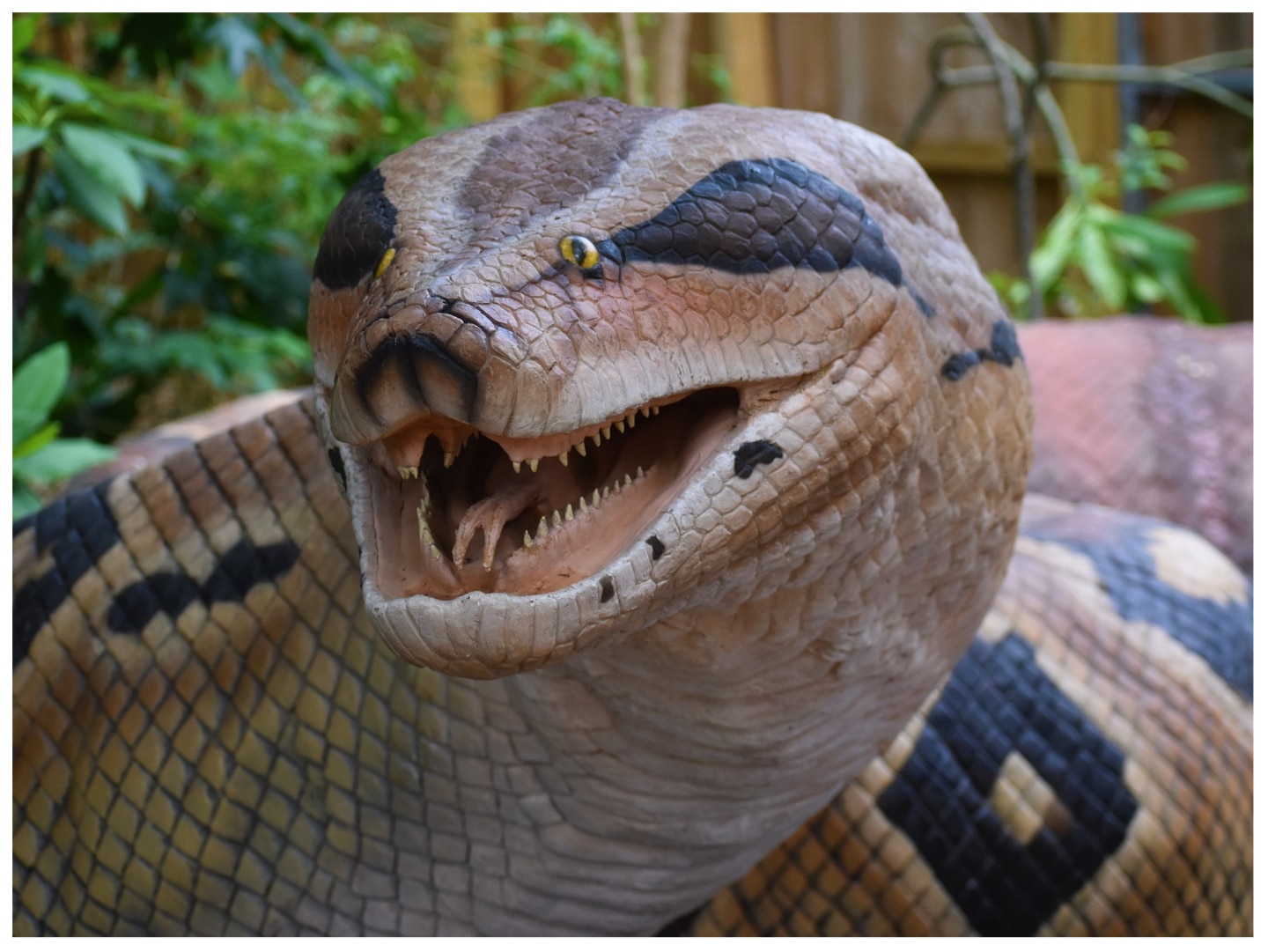 Titanoboa was the worlds biggest snake this used to weigh up to 1500 kg |  1500 किलो तक वजन के होते थे दुनिया के सबसे बड़े सांप! आज भी इस नदी में