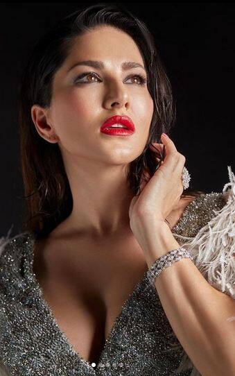 ਅਭਿਨੇਤਰੀ ਸੰਨੀ ਲਿਓਨ ਚਮਕਦਾਰ ਸਿਲਵਰ ਪਹਿਰਾਵੇ ਵਿੱਚ ਸ਼ਾਨਦਾਰ ਲੱਗ ਰਹੀ ਹੈ। ਅਦਾਕਾਰਾ ਸੰਨੀ ਲਿਓਨ ਦੀਆਂ ਤਸਵੀਰਾਂ 'ਤੇ ਪ੍ਰਸ਼ੰਸਕ ਗਲੈਮਰਸ ਅਤੇ ਹੌਟ ਟਿੱਪਣੀਆਂ ਕਰ ਰਹੇ ਹਨ।