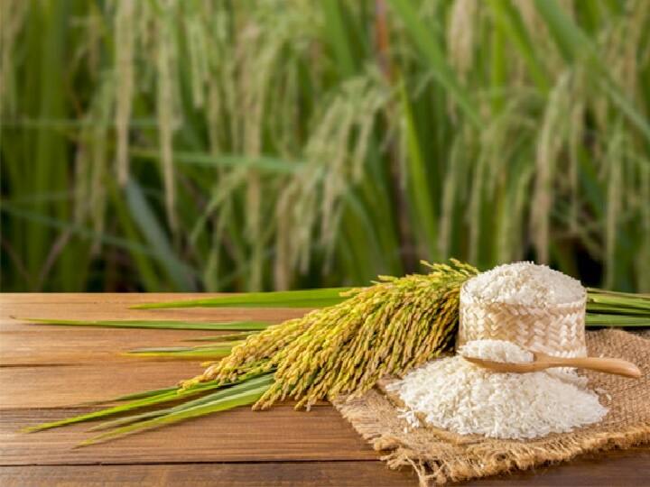 Rice Export Curbs Extended By Government To Ensure Domestic Price Stability Rice Export: चावल के निर्यात पर लगे बैन को जारी रख सकती है सरकार, जानिए क्या है बड़ी वजह