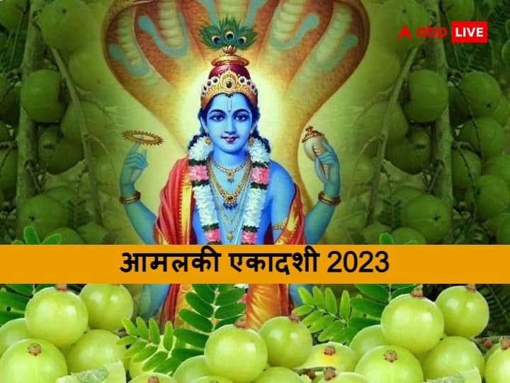 Amalaki Ekadashi 2023 Upay According to Zodiac sign Lord vishnu puja vidhi Amalaki Ekadashi 2023: 3 मार्च को है आमलकी एकादशी, जानें इस दिन क्यों होती है आंवले की पूजा