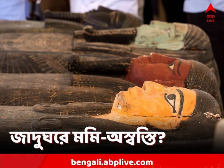 Science News, Museums are questioning on conservation and exhibition of mummies and human remains in their collections, know the debate Science News: জাদুঘরে মমি-অস্বস্তি? প্রদর্শনীতে কি আর থাকবে না মমি? নেপথ্যে কী কারণ?