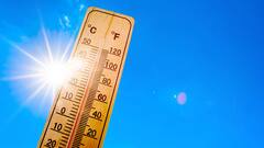 Heat Wave : अंगाची लाहीलाही होणार! पुढील पाच दिवसात उकाडा वाढणार, हवामान विभागाचा इशारा