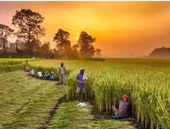 PM Kisan Samman Nidhi: 13ਵੀਂ ਕਿਸ਼ਤ ਤੋਂ ਪਹਿਲਾਂ ਕਿਸਾਨ ਕਰ ਲੈਣ ਇਹ ਜ਼ਰੂਰੀ ਕੰਮ, ਨਹੀਂ ਤਾਂ ਹੋਵੇਗੀ ਪਰੇਸ਼ਾਨੀ