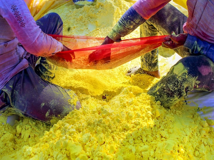 Lathmar Holi, which is celebrated in locales such as Barsana, Mathura, and Vrindavan, is well-known and draws visitors from all over the world. During Lathmar Holi, women with lathis or canes chase after men and strike them playfully. (Image Source: PTI)