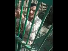 WATCH: UP Man Enters Leopard Cage To Catch Rooster Placed As Bait, Gets Trapped Inside