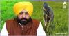Agriculture News: ਬਾਸਮਤੀ ਕੇਰਗੀ ਕਿਸਾਨਾਂ ਦੇ ਵਾਰੇ-ਨਿਆਰੇ, ਭਗਵੰਤ ਮਾਨ ਸਰਕਾਰ ਵੱਲੋਂ ਵੱਡਾ ਐਲਾਨ