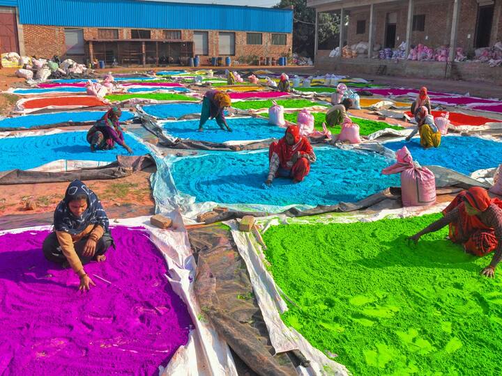 Holi will be held on March 8 this year, while Holika Dahan will be held on March 7. An extra week of festivities is planned for the Braj region. (Image Source: PTI)