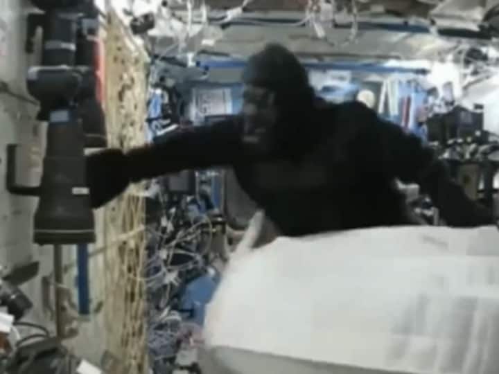 American astronaut Scott Kelly video Dressed like gorrila prank with British astronaut Tim Peake Astronaut Prank Video: एस्ट्रोनॉट हो रहे थे बोर, गोरिल्ला बन कर दिया प्रैंक, देखें मजेदार वीडियो