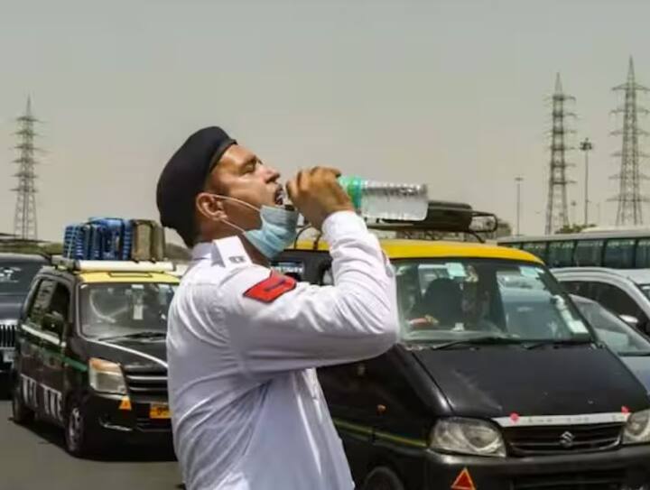 ਪਿਛਲੇ ਸਾਲ ਮਾਰਚ ਵਿੱਚ, ਦੇਸ਼ ਵਿੱਚ 1901 ਤੋਂ ਬਾਅਦ ਸਭ ਤੋਂ ਗਰਮ ਗਰਮੀ, ਕਣਕ ਦੇ ਉਤਪਾਦਨ ਵਿੱਚ 2.5 ਪ੍ਰਤੀਸ਼ਤ ਦੀ ਗਿਰਾਵਟ ਆਈ।