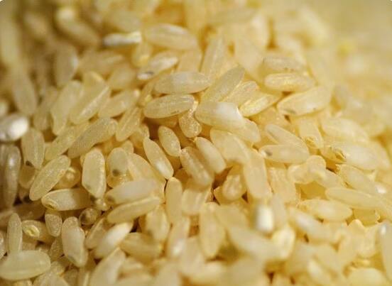 brown-rice-benefit-is-good-for-health Rice Benefits: ਕੈਂਸਰ, ਹਾਈਪਰਟੈਂਸ਼ਨ...ਕਈ ਬਿਮਾਰੀਆਂ 'ਚ ਕਾਰਗਰ ਹੈ ਚਾਵਲਾਂ ਦੀ ਇਹ ਕਿਸਮ, ਇੱਕ ਵਾਰ ਡਾਈਟ 'ਚ ਸ਼ਾਮਲ ਕਰਕੇ ਤਾਂ ਦੇਖੋ