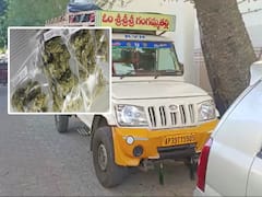 Tirumala News : తిరుమలలో గంజాయి కలకలం, కూరగాయల మాటున స్మగ్లింగ్!