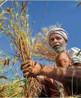 PM Kisan Samman Nidhi: 13ਵੀਂ ਕਿਸ਼ਤ ਤੋਂ ਪਹਿਲਾਂ ਕਿਸਾਨ ਕਰ ਲੈਣ ਇਹ ਜ਼ਰੂਰੀ ਕੰਮ, ਨਹੀਂ ਤਾਂ ਹੋਵੇਗੀ ਪਰੇਸ਼ਾਨੀ