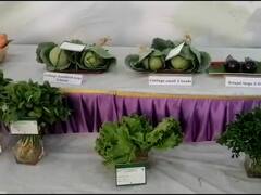 Mumbai Flower Exhibition : रंगीबेरंगी फुलांनी तयार केले प्राणी आणि पक्षी, मुंबईतील प्रदर्शनाची झलक, पाहा फोटो