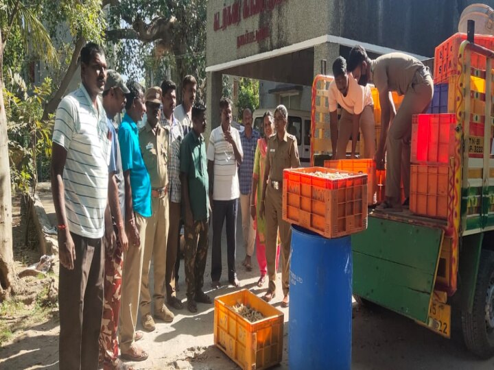 நாகப்பட்டினத்தில் கடல் அட்டைகள் பறிமுதல் - பதுக்கி வைத்தவர் தப்பி ஓட்டம்