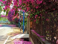 Holi 2023: Places To Visit In India During The Festival Of Colours