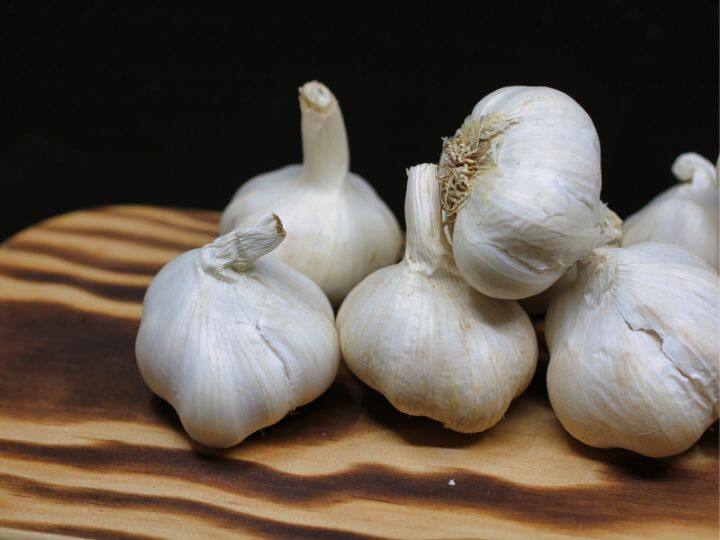 Garlic Health Benefits 6 Advantages Of Garlic To Add In Your Meal कई बीमारियों की काट है लहसून, इन्हें खाने से आपको मिलेंगे ये 6 करिश्माई फायदे
