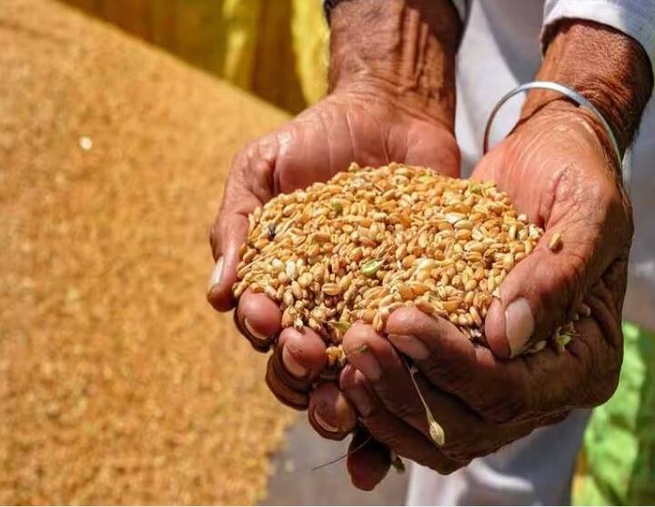 खुल्या बाजारात 18.05  लाख मेट्रिक टन गव्हाची विक्री (Sale of wheat) पूर्ण केली आहे.