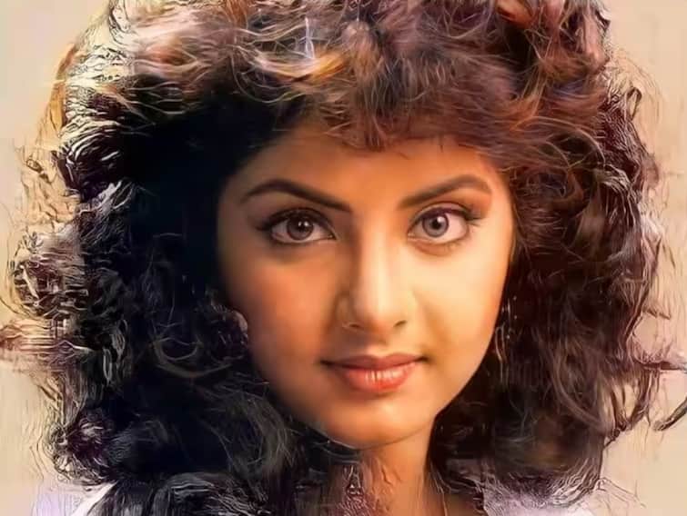 Bollywood Actress Divya Bharti Birth Anniversary Know About Actress