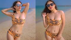 Neha Malik: ਬੀਚ 'ਤੇ ਬਿਕਨੀ ਪਾ ਕੇ ਨੇਹਾ ਮਲਿਕ ਨੇ ਇੰਟਰਨੈੱਟ 'ਤੇ ਲਗਾਈ ਅੱਗ, ਆਪਣੇ ਬੋਲਡ ਲੁੱਕ ਨਾਲ ਮਚਾਈ ਤਬਾਹੀ
