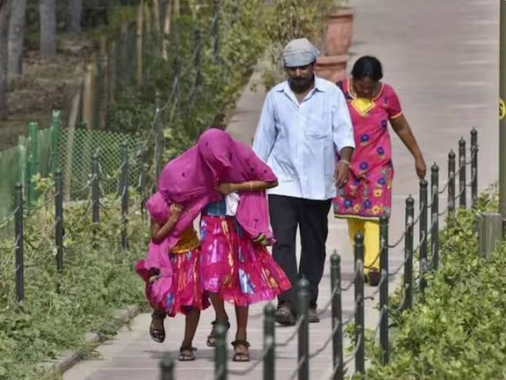 ਮਿੱਟੀ ਵਿੱਚ ਨਮੀ ਬਰਕਰਾਰ ਰੱਖਣ ਲਈ ਮੌਸਮ ਵਿਭਾਗ ਨੇ ਕਿਸਾਨਾਂ ਨੂੰ ਹਲਕੀ ਸਿੰਚਾਈ ਕਰਨ ਦੀ ਸਲਾਹ ਦਿੱਤੀ ਹੈ।