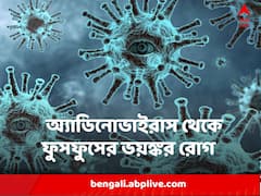 কেন দীর্ঘদিন সারছেই না কাশি ? অ্যাডিনোভাইরাস ডেকে আনছে ফুসফুসের ভয়ঙ্কর রোগ