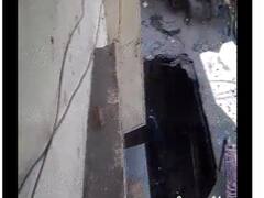 Watch: दिल्ली में धंस गई सड़क, धरती के अंदर समा गया कुत्ता और बाइक, सामने आया ये वीडियो