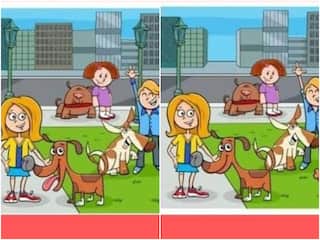 Optical Illusion: इन दो तस्वीरों के बीच हैं 6 अंतर, क्या आप 20 सेकेंड्स में खोज सकते हैं...?