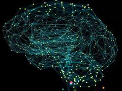 20 लाख साल पहले आग पर पकाया खाना, फिर परमाणु बम खोजा, अब कौन सा नया खतरा इजाद कर रहा इंसान