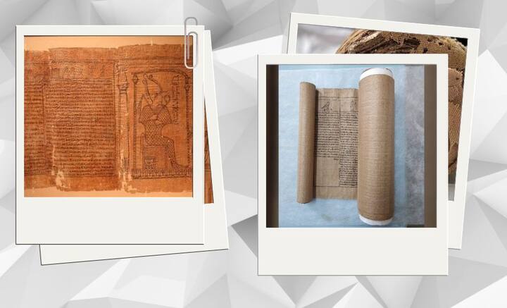 দুধসাদা, টানটান পাতার উদ্ভব হয়নি তখনও। তাই বলে আটকায়নি লেখা, পড়া, সাহিত্যচর্চা। বরং জলাভূমিতে জন্মানো প্যাপিরাস অর্থাৎ নলখাগড়াই হয়ে ওঠে মেধাচর্চার মাধ্যম। বিস্তর কাঠখড় পুড়িয়ে নলখাগড়াকে লেখার যোগ্য করে তোলা হতো। আজও সেই পরিশ্রম ইতিহাসকে তথ্যের জোগান দিয়ে চলেছে।