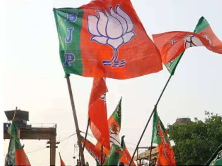 Rajasthan Assembly Election 2023 Jaipur BJP formed advocates team for legal opinion and training ANN Rajasthan Election 2023: जयपुर में BJP ने रणनीति के तहत उतार दी वकीलों की फौज, इन दो मोर्चों पर करेगी काम