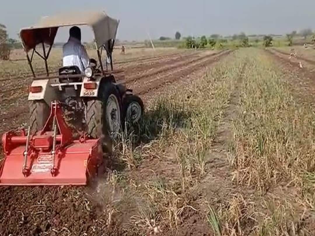 Onion Price : कर्जतच्या शेतकऱ्यानं एक एकर कांद्यावर फिरवला रोटाव्हेटर, उत्पादन खर्चही निघत नसल्यानं शेतकरी अडचणीत Agriculture news A farmer of Ahmednagar Karjat Destroyed onion crop in one acres Onion Price : कर्जतच्या शेतकऱ्यानं एक एकर कांद्यावर फिरवला रोटाव्हेटर, उत्पादन खर्चही निघत नसल्यानं शेतकरी अडचणीत