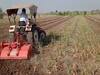 Onion Price : कर्जतच्या शेतकऱ्यानं एक एकर कांद्यावर फिरवला रोटाव्हेटर, उत्पादन खर्चही निघत नसल्यानं शेतकरी अडचणीत