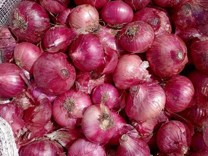 MP farmers ask for compensation from Shivraj Singh Chouhan Government as onion prices fall all time low ANN MP Onion Prices: CM शिवराज के राज में 'प्याज के आंसू' रो रहा है अन्नदाता! मुआवजे की मांग कर रहे किसान