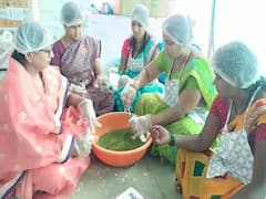 भाज्यांपासून पावडर, दहा महिलांना रोजगार; जळगावमधील महिलेला मिळत आहे लाखोंचे उत्पन्न