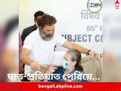 'ভারত জোড়োয় আমার যাত্রা শেষ', রাজনীতি থেকে বিদায়ের পথে! জল্পনা উস্কে দিলেন সনিয়া