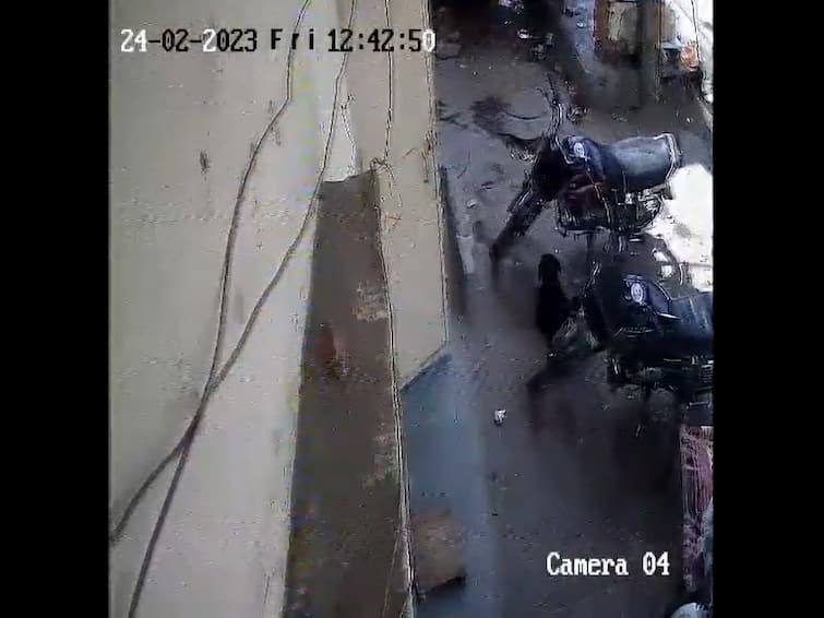 Dog And Motorcycles Fall Into Sinkhole As Road Caves In South Delhi RK Puram Watch Video Dog, Bikes Fall In Sinkhole As South Delhi Road Caves In. Video