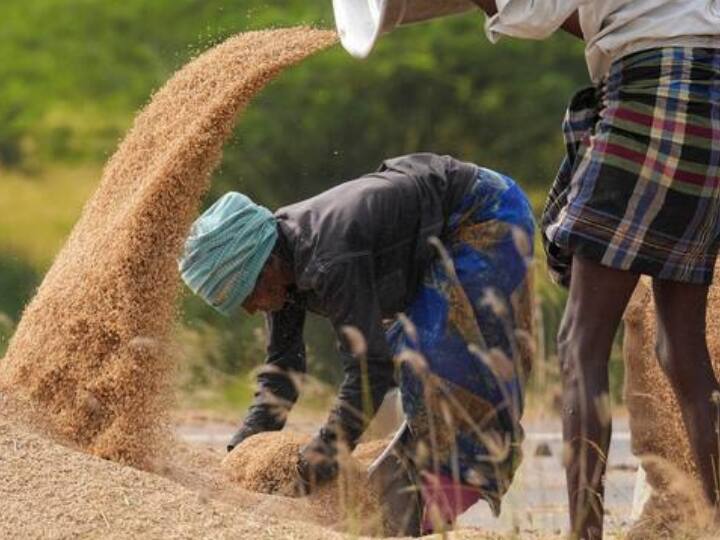 मौसम विभाग ने लगातार बढ़ रहे तापमान को देखते हुए किसानों के लिए अलर्ट जारी किया है. जानकारी के मुताबिक सामान्य से ज्यादा तापमान होने पर गेहूं जैसी फसलें खराब हो सकती है.