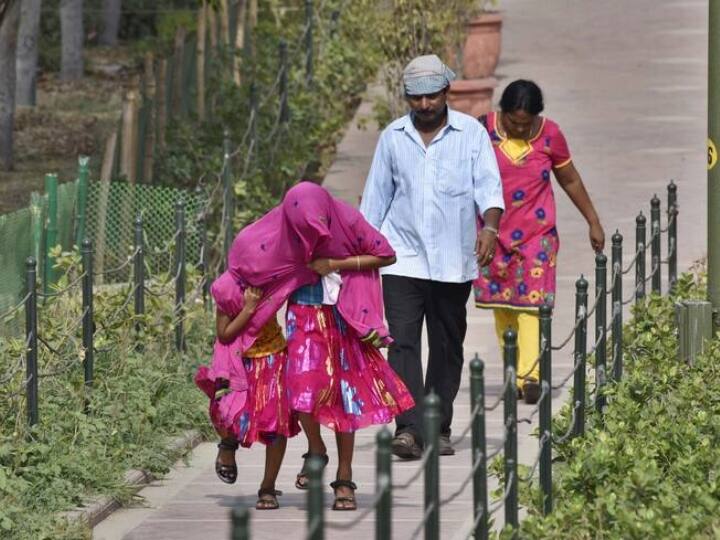 मिट्टी में नमी बनाए रखने के लिए मौसम विभाग ने किसानों को हल्की सिंचाई करने की सलाह दी है.