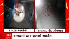 Amreli: અમરેલી તાલુકામાં દીપડાની દહેશત