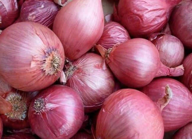 कांद्याचे दर कोसळल्यानं शेतकरी चिंतेत आहेत. काही शेतकरी आपल्या शेतातील कांद्याचे पीकच काढून टाकत आहेत.