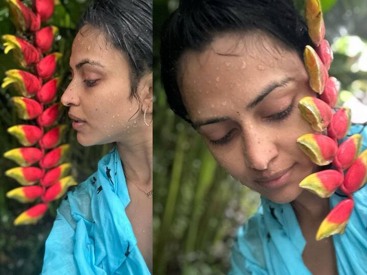 Amala Paul: பிரபல நடிகை அமலா பால், தனது புதிய புகைப்படங்கள் சிலவற்றை இன்ஸ்டாகிராம் பக்கத்தில் பதிவிட்டுள்ளார். இவை வைரலாகி வருகின்றன.