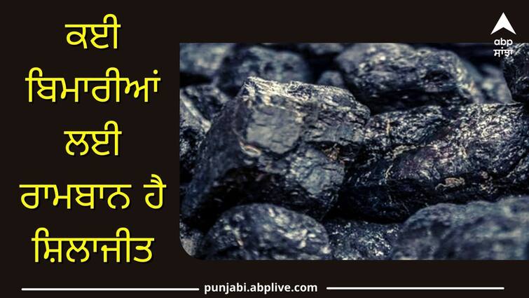 Shilajit is effective not only for sexual diseases but also for many serious problems ਜਿਣਸੀ ਰੋਗਾਂ ਹੀ ਨਹੀਂ, ਸਗੋਂ ਕਈ ਗੰਭੀਰ ਸਮੱਸਿਆਵਾਂ ਲਈ ਵੀ ਕਾਰਗਰ ਸ਼ਿਲਾਜੀਤ, ਨਹੀਂ ਜਾਣਦੇ ਹੋਵੋਗੇ ਇਹ ਫਾਇਦੇ