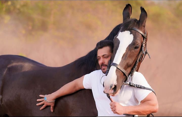 इसके अलावा सलमान खान ने पनवेल फार्म हाउस में हॉर्स राइडिंग के लिए काफी स्पेस रखा है.