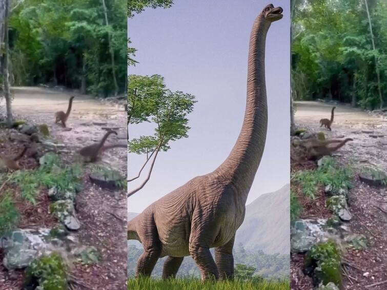 Viral Video Of Baby Dinosaurs In Jurassic Park Leaves Internet Shocked Watch Video: 21-ஆம் நூற்றாண்டில் டைனோசர்களா... சாலையை கடக்கும் குட்டி டைனோசர்கள்.. என்ன வீடியோ இது?