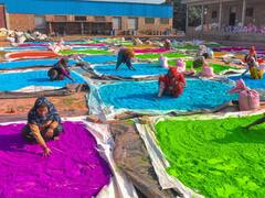 छत्तीसगढ़ में होली के लिए बनाया जा रहा हर्बल रंग-गुलाल, जानिए क्या है इसकी खासियत