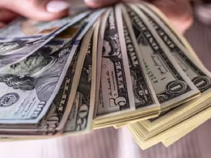 FPI Investment: भारतीय शेयर बाजार से भाग रहे विदेशी निवेशक, 24 फरवरी तक बाजार से निकाले 2,313 करोड़ रुपये FPIs withdrew 2,313 crore rupee from Indian equities during February 1-24 FPI Investment: भारतीय शेयर बाजार से भाग रहे विदेशी निवेशक, 24 फरवरी तक बाजार से निकाले 2,313 करोड़ रुपये