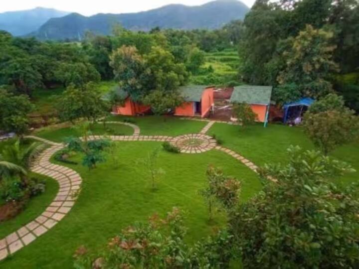 Salman Khan Panvel Farm House Pics: हिंदी सिनेसृष्टीतील सुपरस्टार सलमान खानच्या पनवेल फार्म हाऊसची नेहमीच चर्चा असते. आज आम्ही तुमच्यासाठी भाईजानच्या हाऊसच्या आतील काही फोटो घेऊन आलो आहोत.