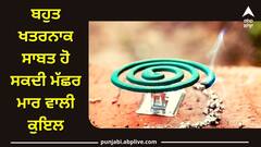 ਬਹੁਤ ਖਤਰਨਾਕ ਸਾਬਤ ਹੋ ਸਕਦੀ ਮੱਛਰ ਮਾਰ ਵਾਲੀ ਕੁਇਲ, ਜਲਾਉਣ ਤੋਂ ਪਹਿਲਾਂ ਜਾਣ ਲਵੋ ਇਸ ਦੇ ਨੁਕਸਾਨ