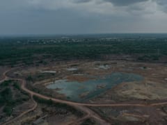 एशिया के सबसे बड़े मानव निर्मित जंगल में बनेगा फॉरेस्ट वंडरलैंड, जानिए इसकी खासियत