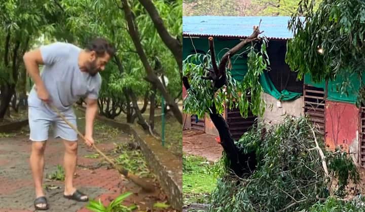 सलमान खानचे पनवेलचे फार्म हाऊस अतिशय आलिशान आणि मोठे आहे. मीडिया रिपोर्ट्सनुसार, भाईजानचे हे फार्म हाऊस 150 एकरमध्ये पसरले आहे.